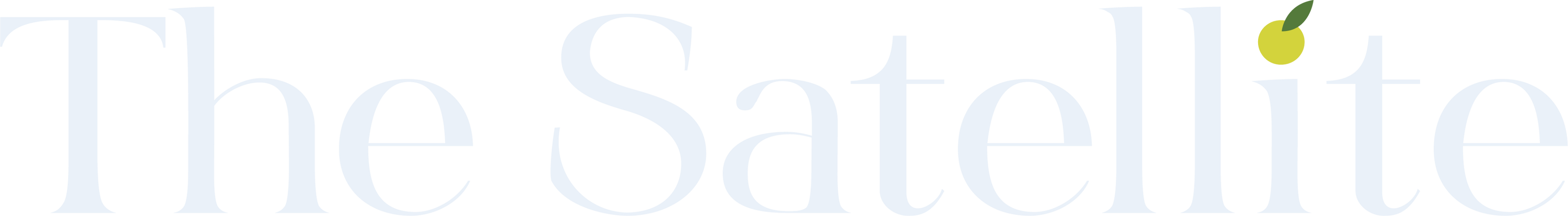 The Satellite